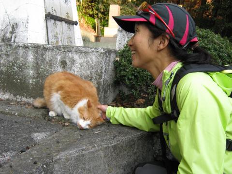 デブねことお戯れになるWAKA姫