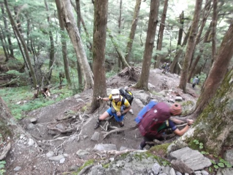広河原から白根御池まで標高差７００mを１時間５０分ほどで登り切る。重荷がきつい