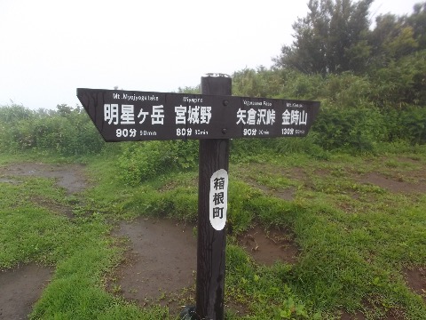 金徳山を目指す