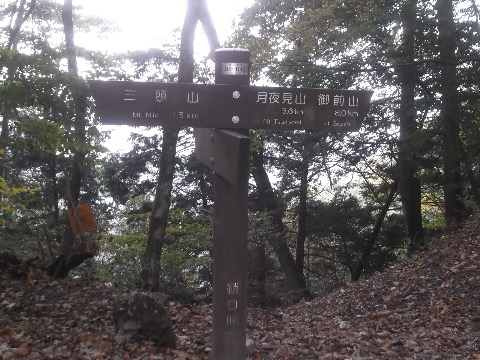 １５時　鞘口峠　御前山までと思ったが先日の箱根の疲れもあるので、今回はここから都民の森に降りる。