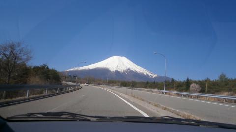 今日も日本晴れ～