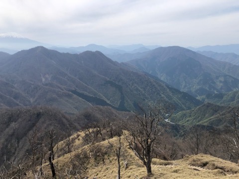 蛭ヶ岳から檜洞丸〜大室山　昨日たどってきた稜線