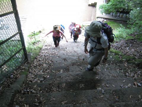 初っ端から男坂の急登