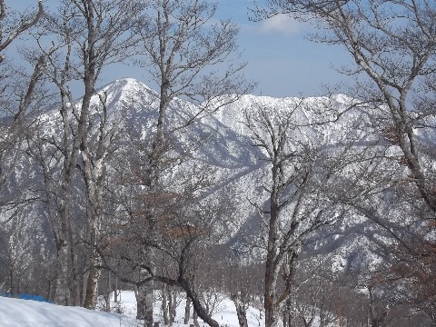 蛭が岳をのぞむ　まだ冬山の様相