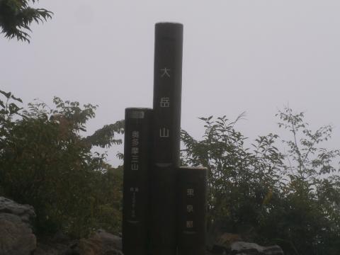 展望のよい大岳山　誰もいない　視界ゼロ　雨足が強くなってきた　寒い
ここからはほとんど下り基調　でもあと１8キロもある。左ひざに痛みが出始める。
右足の薬指にマメらしきものが。痛い