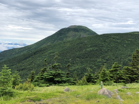 下山途中　双子山からの蓼科山