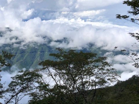 雨予報だったが　綺麗な雲海が