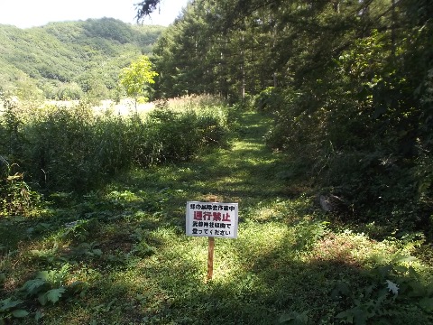 武尊山への登り返し　後６キロの地点で　通行止め　きた道を８キロほど引き返し別ルートで登ることに