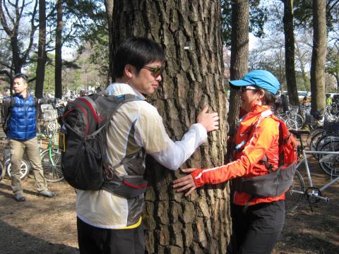 寒さのあまり
クロマツの巨木にしがみつく二人