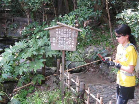 井の頭公園の神田川源流「お茶の水」