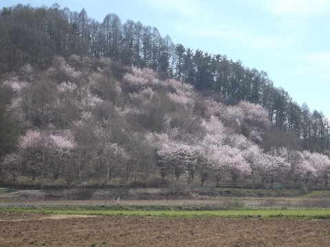 ５０キロ近くアップダウンに苦しめられながらも思わず見とれてしまう光景