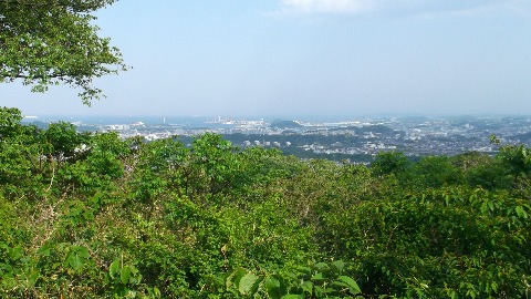 大丸山から東京湾方面をのぞむ