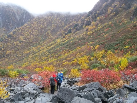 名残惜しい気持ちで涸沢を後にする。雨は降ったりやんだりの繰り返し