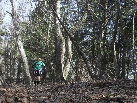 忍草山にて