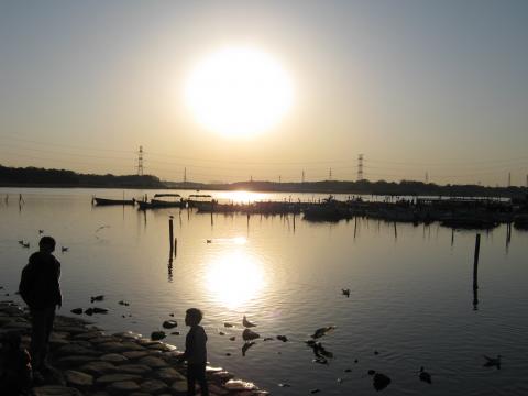 我孫子図書館付近より、手賀沼に沈む夕陽。ゴールまであと2キロ。