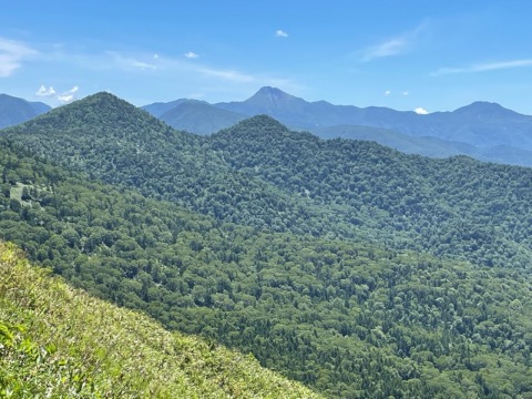 美しい樹海　バックの山は日光白根山