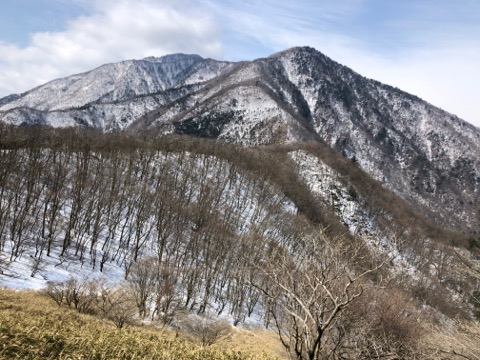 天子山地はまだ冬の様相