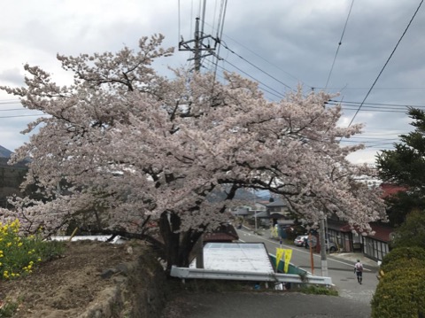 １５５キロ地点あたり