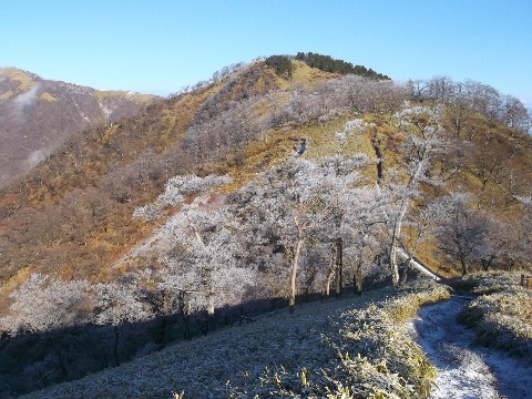 丹沢山　手前　霧氷がちらほら