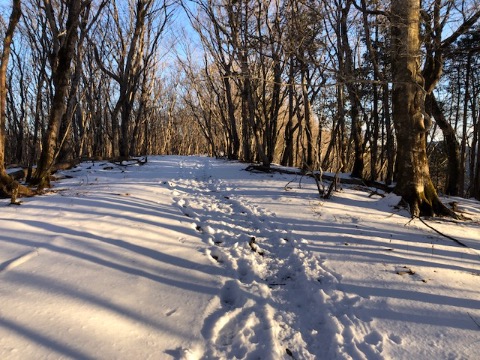 極上の新雪トレイル