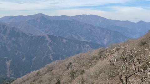 丹沢表尾根　雪はすっかり溶けてしまったようだ