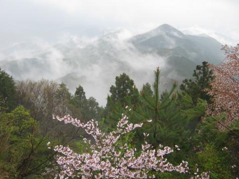 諦めて下山しようとしたら
東側の展望が突然開ける
平凡な山波もこのようにガスがまとわりつくことで
まるで墨絵を思わせるような美しさに変容する
雨もまた佳しである（雨男の言い訳）