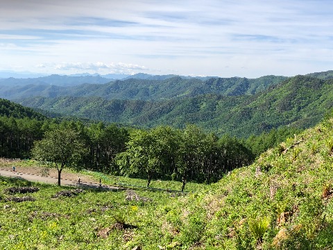 馬越峠の登りからの景観