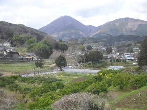 のどかな足柄路と矢倉岳