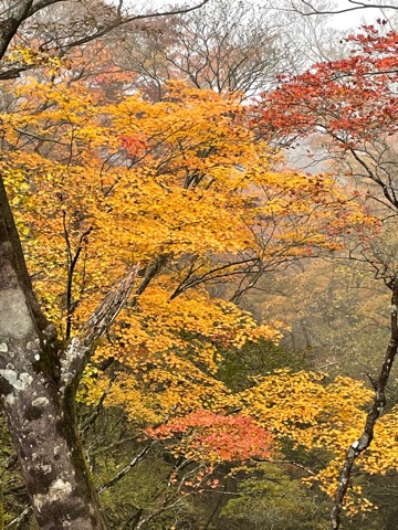 思わず立ち止まる