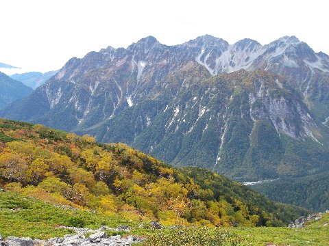 ダケカンバの黄葉と穂高連峰