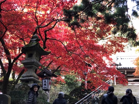 大雄山　最乗寺の紅葉