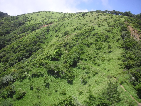 不動の峰に向かうトレイル　風が心地よい