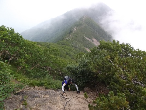 権現岳山頂直下の急登