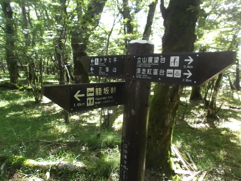 三国山には向かわず籠坂峠に下りる。以前はコースになっていたのだが・・