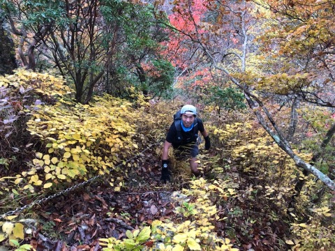 鍋割山へのゲキ登り