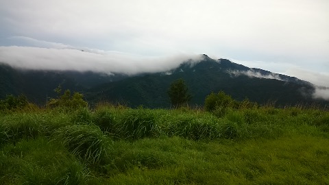 金時山　雲がまとわりついている