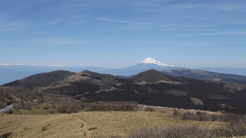 これから辿る達磨山方面