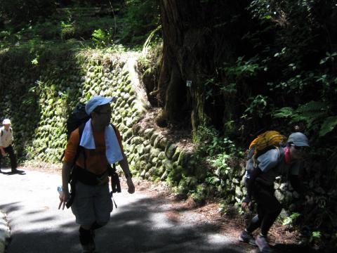 ケーブルを横目で見ながら
標高差５００m以上の登り。