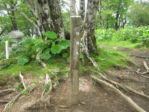 １時間２０分ほどで檜洞丸山頂に到着