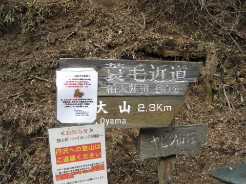 大山までの標高差５００ｍ。距離はわずか２キロ。ここから先は、かなりの急傾斜。峠を登ってきた脚にはかなり応える。