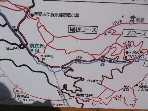 杓子山から大権首（おおざす）峠、不動の湯を経由して下りるが、途中からコースになっているトレイルの取り付きがわからず長い林道を降りる破目に