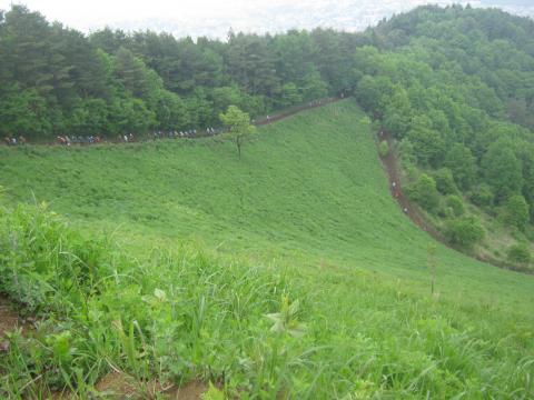 初っ端から急登の連続で息が上がる