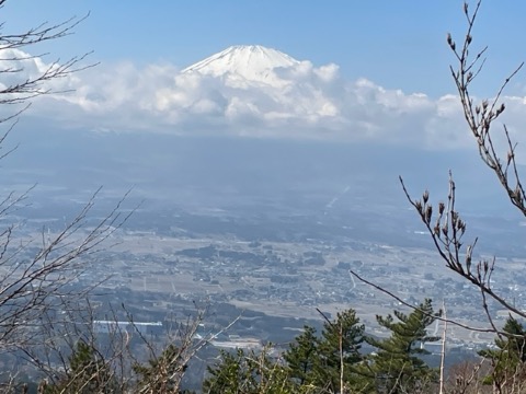 足柄峠からの富士