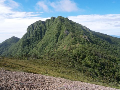 権現岳が近づいてきたが、まだまだ厳しい上りが続く。