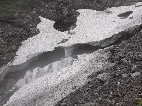 大樺沢の雪渓