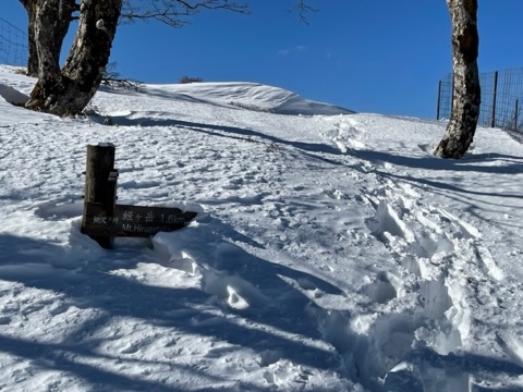 道標も埋まってしまっている