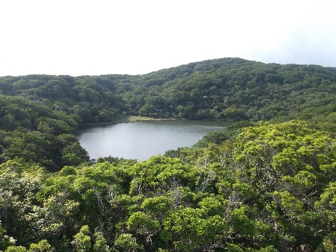 天城峠から１時間少々で登りきったところから八丁池を俯瞰する