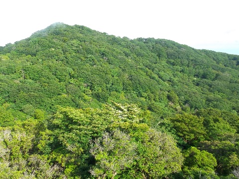 夕方になるとガスが晴れ始め、緑深い伊豆の山々が姿を現す