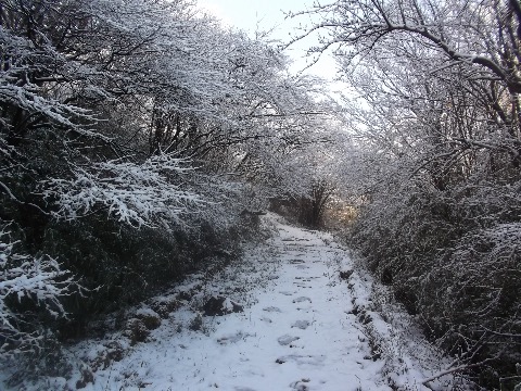 芦ノ湯付近も結構雪が残る　石畳はツルツルで走れない