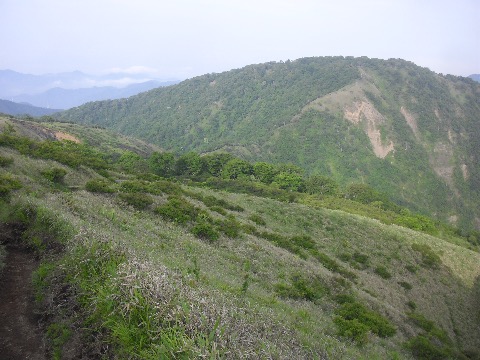 丹沢山手前の快適なトレイル